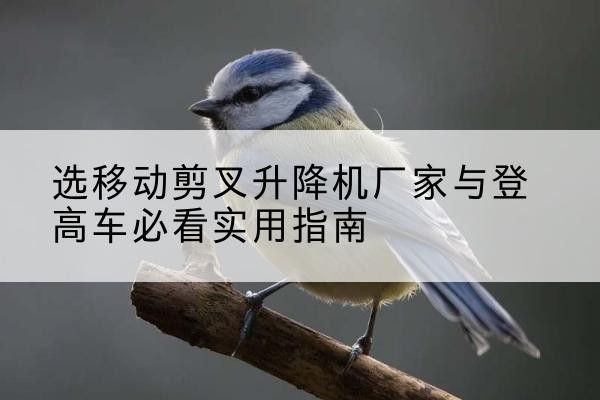 潮州电动升降机厂家-选移动剪叉升降机厂家与登高车必看实用指南