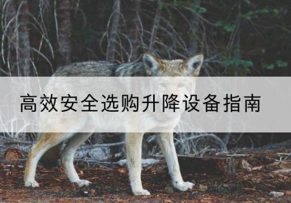潮州升降货梯厂家推荐-*安全选购升降设备指南