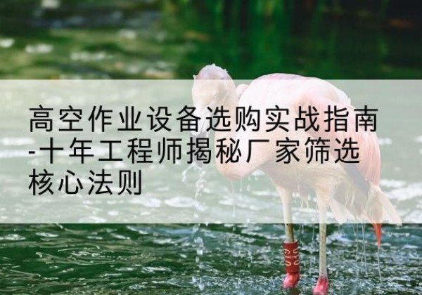 潮州剪叉式升降机厂家-高空作业设备选购实战指南-十年工程师揭秘厂家筛选核心法则